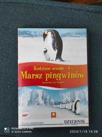 Marsz pingwinów natura