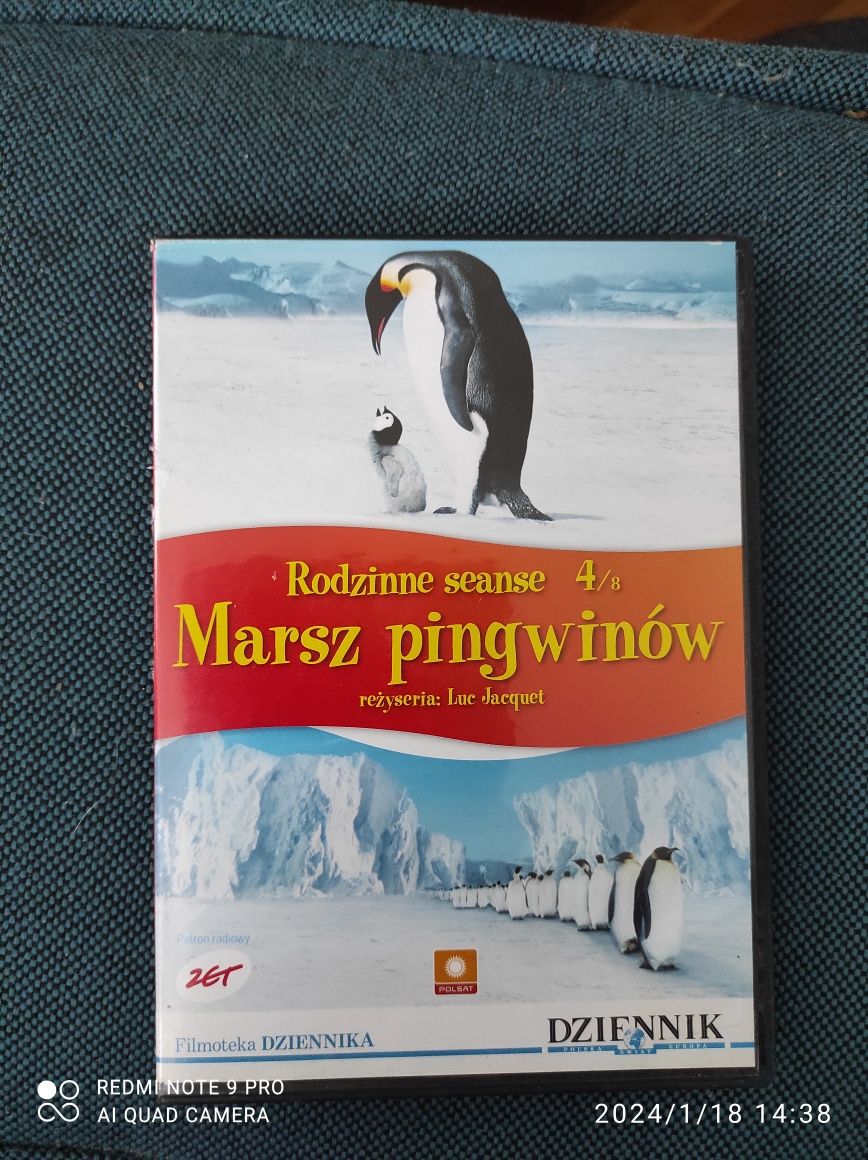 Marsz pingwinów natura