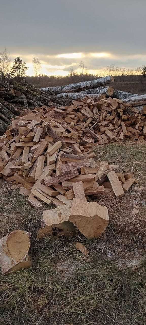 Продам дрова будь якої породи ціна договірна