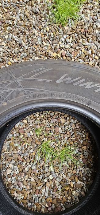 Opony zimowe WREDESTEIN 265/60/18