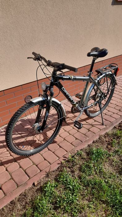 Rower DIAMANT D300