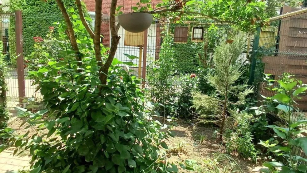 Продам дом. Жм "Добрый"(Ленпоселок) от хозяина