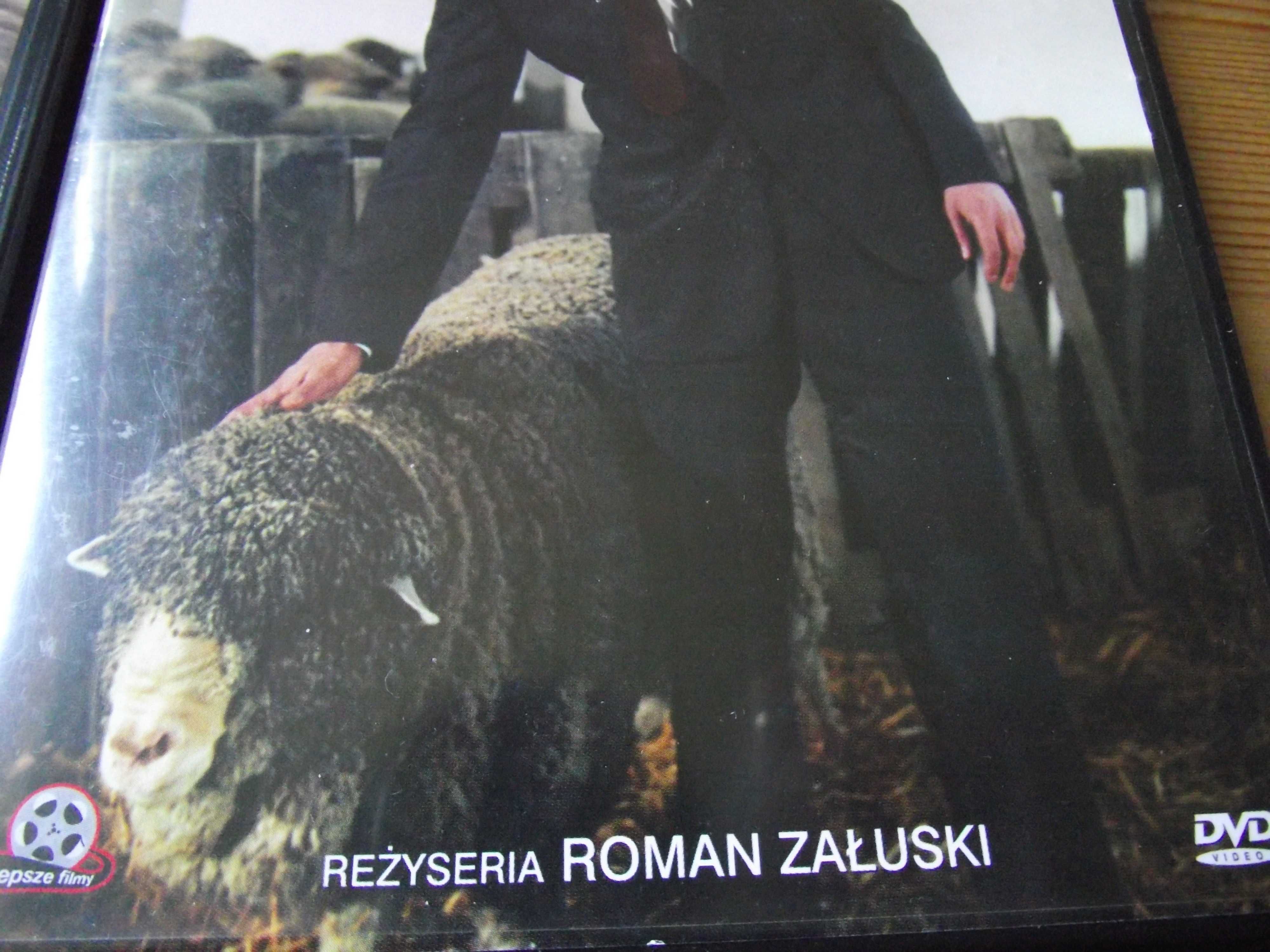 Kogel Mogel i Galimatias  zestaw dvd Roman załuski Filmy