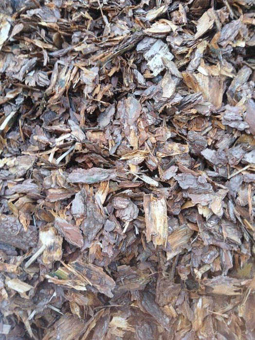 Kora Ogrodowa worki 15zł