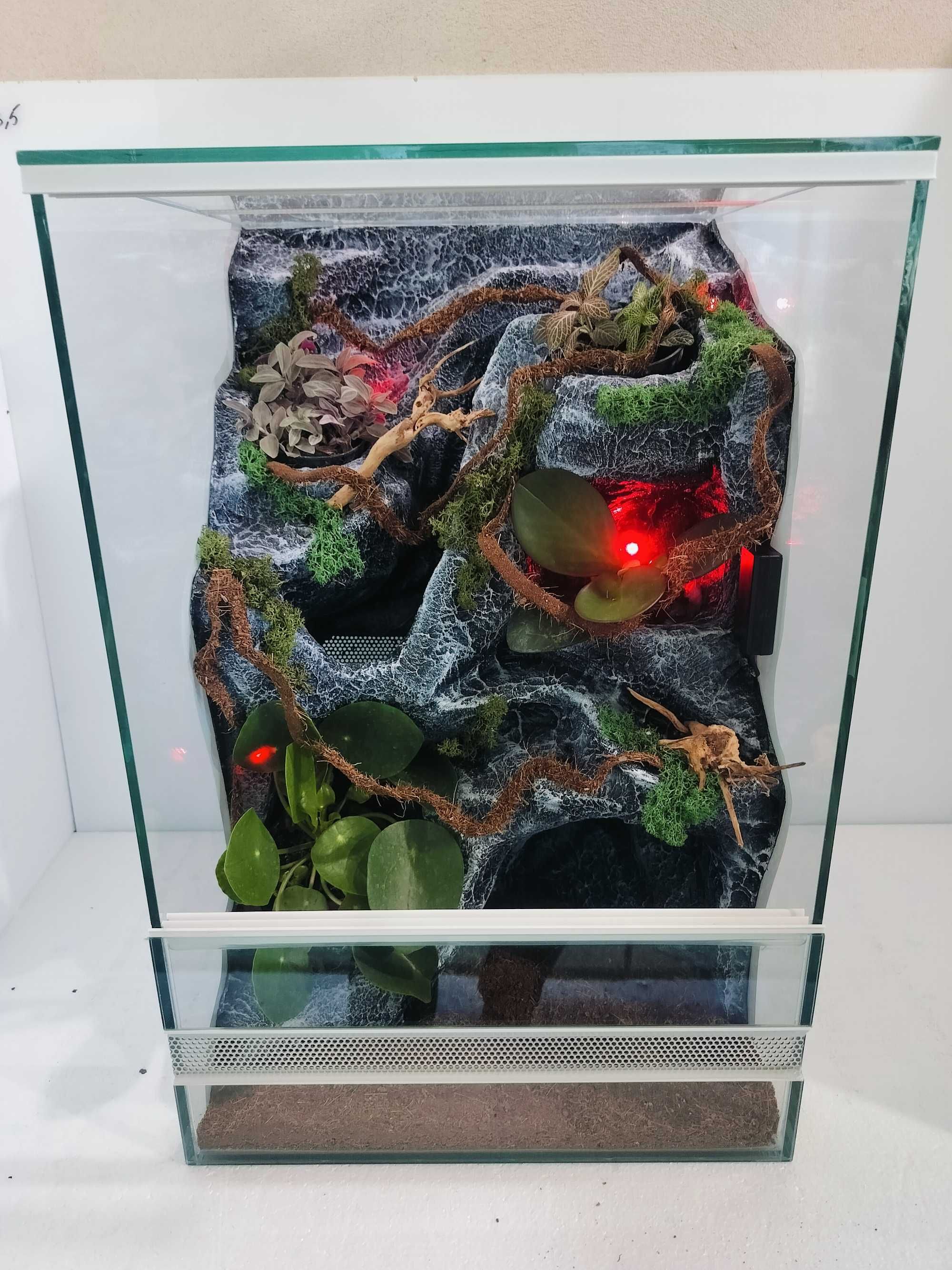 Terrarium dla gekona orzęsionego z wyposażeniem AquaWaves TW66WS