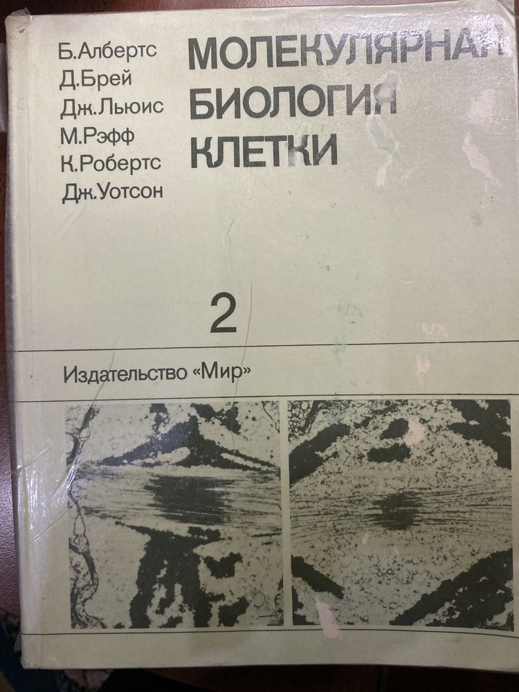 Б. Албертс. Молекулярная биология клетки.