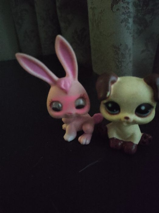 Тваринки та домовинка