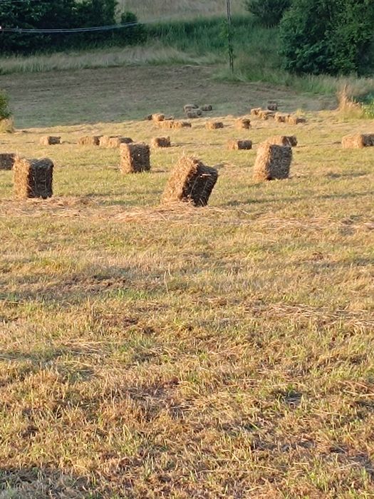 Prasowanie kostek siana , słomy