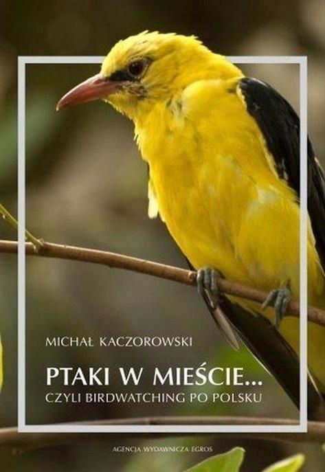 Ptaki W Mieście, Czyli Birdwatching Po Polsku