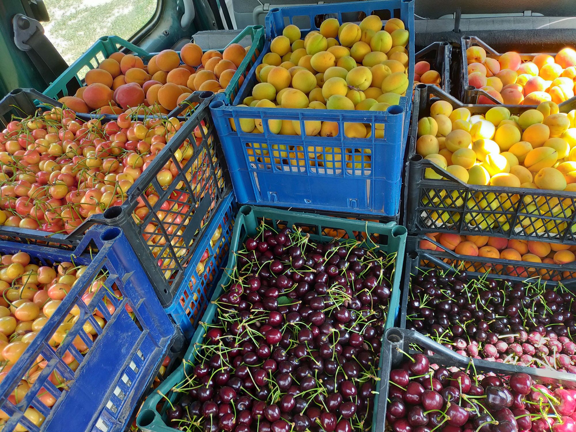 Продам сад с. Троицкое Беляевского р-на,Одесской обл.