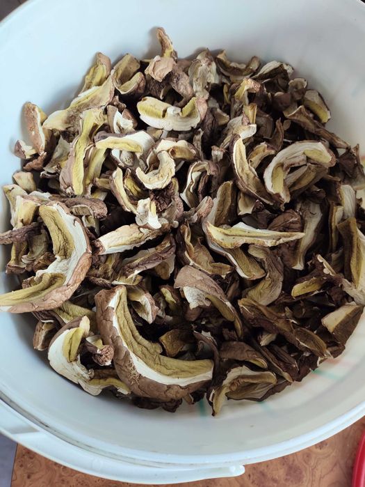 Grzyby suszone ,same prawdziwki