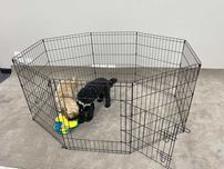 Клітка манеж с дверкой 8 секций 120х120х76 см клетка для собак щенков
