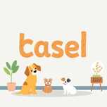 Casa para Animais em Braga – Mais do que um hotel, é um lar!