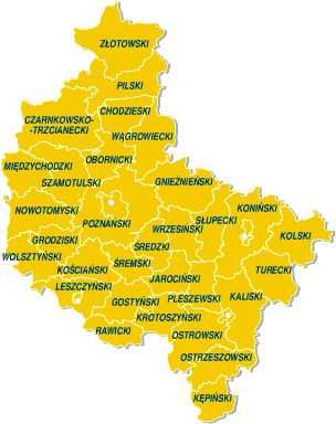 *** SKUP AUT *** Słupca Września Strzałkowo Witkowo Golina Pyzdry