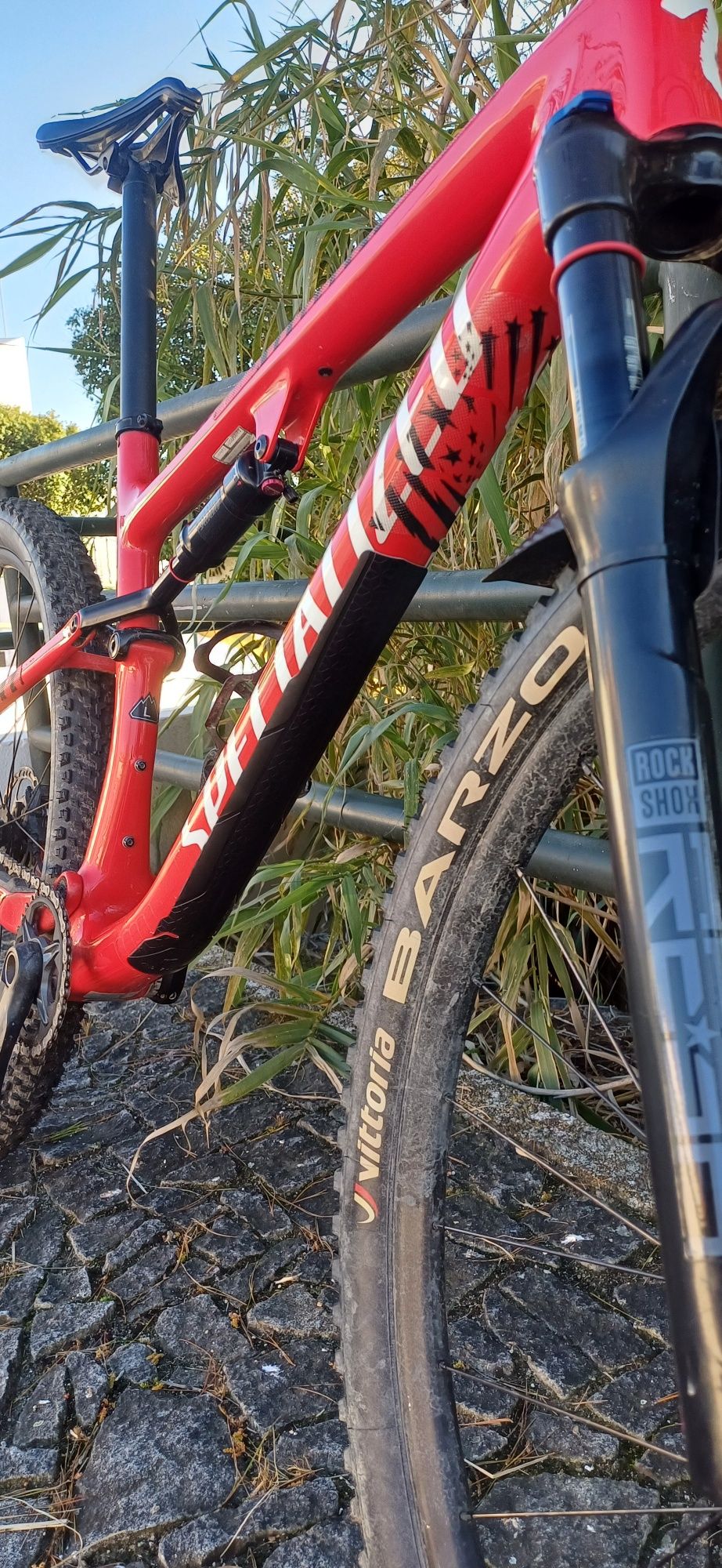 Specialized epic full carbono L