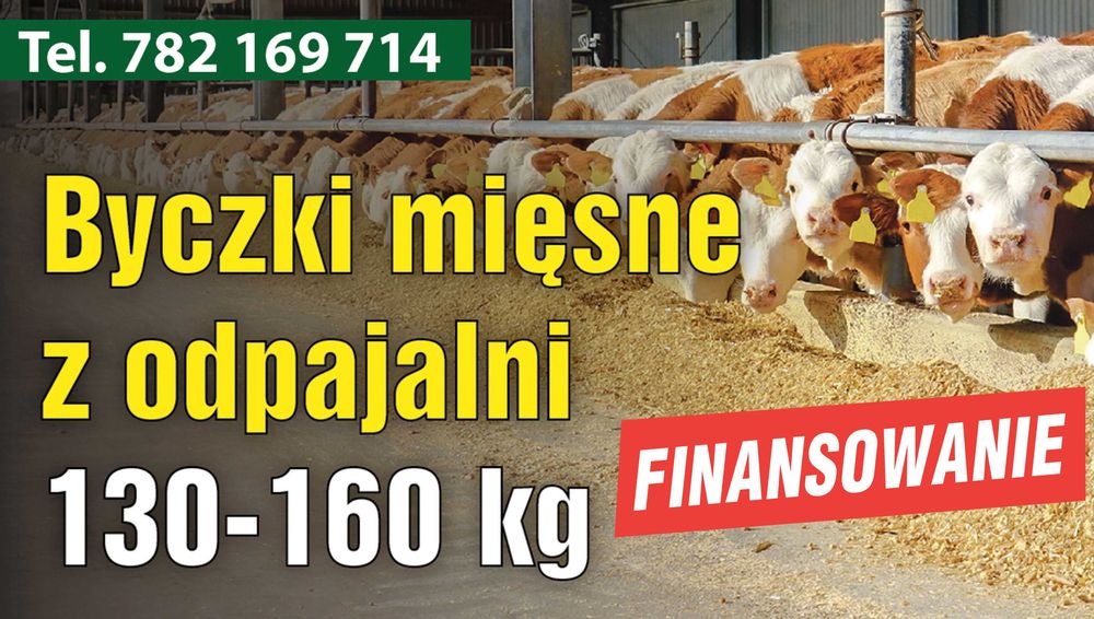 Byczki własnego wyboru również finansowanie