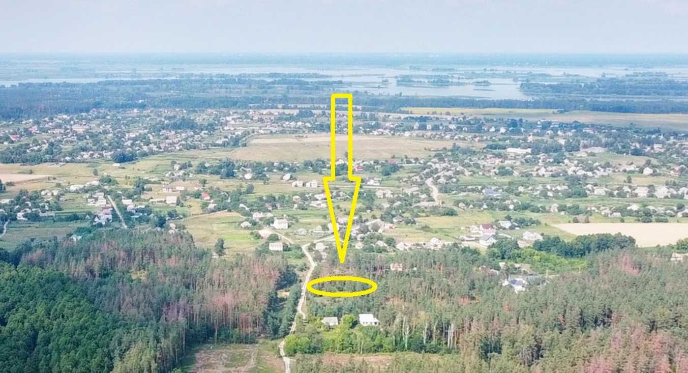 Ділянка 25 соток в Свидівку під забудову у сосновому лісі