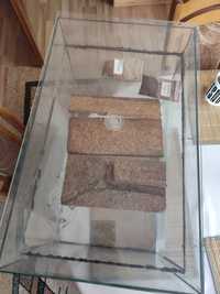Formikarium z wyposażeniem (formikarium,terrarium, mrówki)