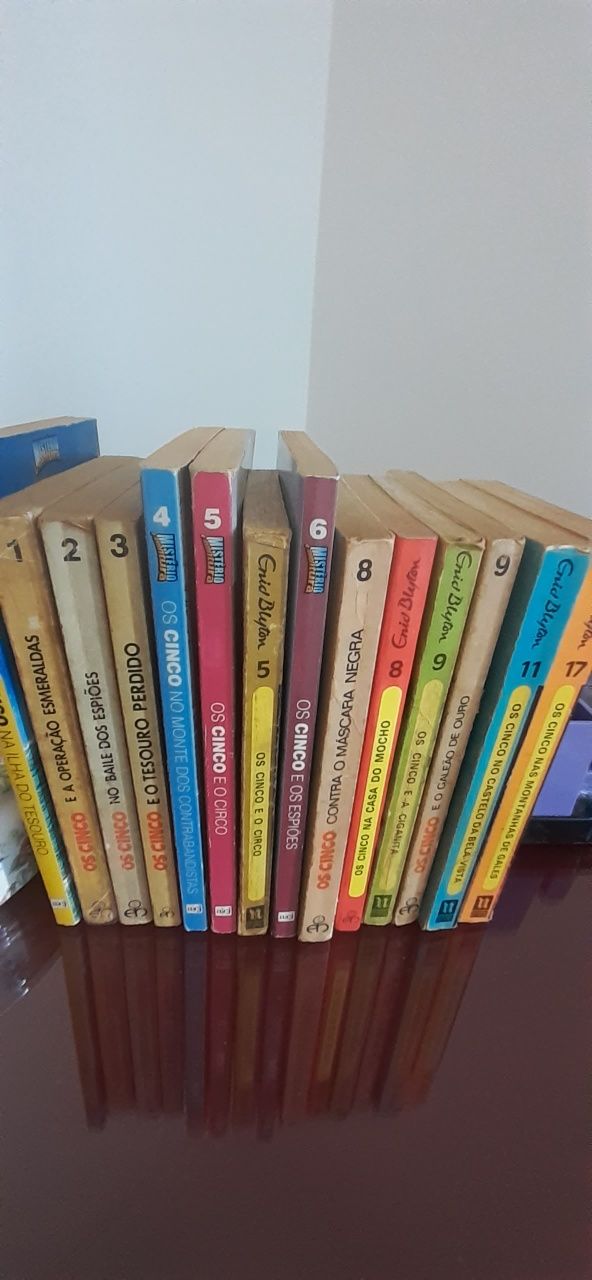 Lote de livros os cinco