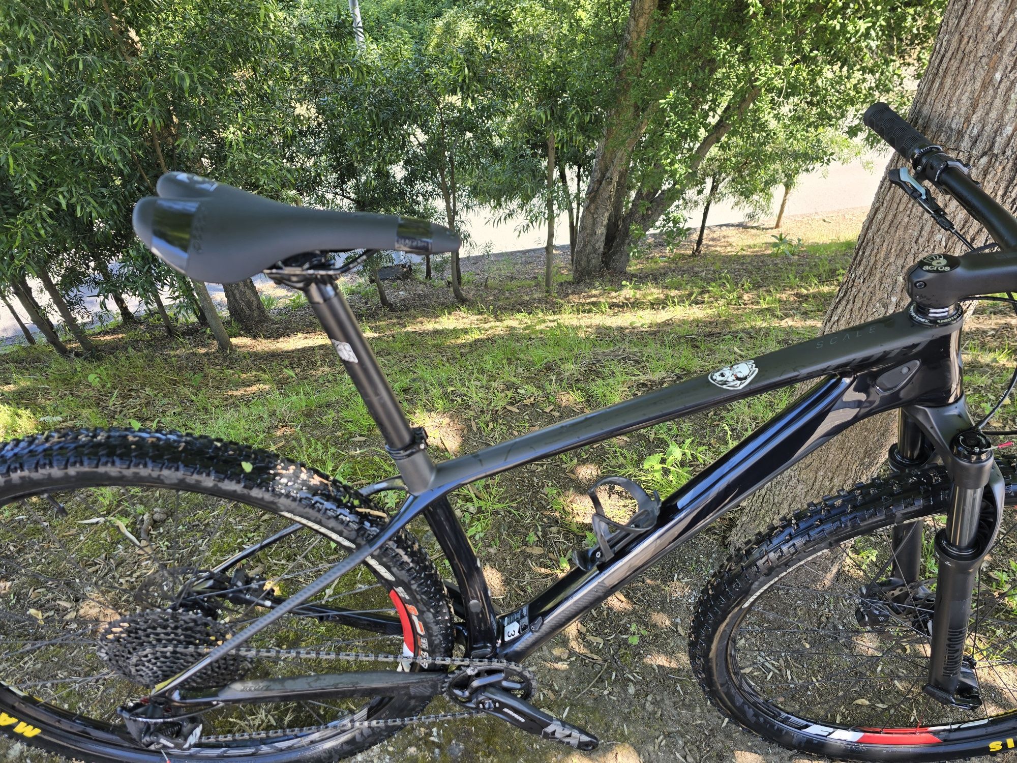 Scott scale 29 12x1v m