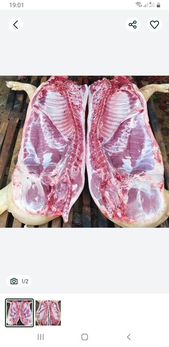 Порося бита вага