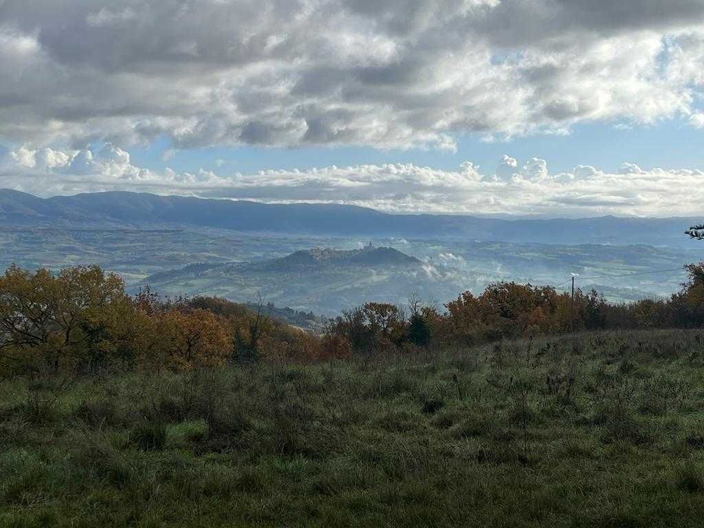 Korepetycje/ nauka języka wloskiego