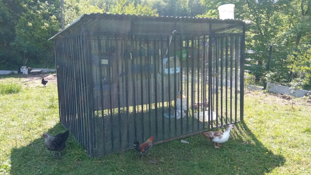 Kojec dla psa, zwierzątka