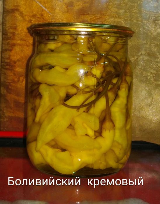 Маринованный сверх острый перец СКОТЧ БОННЕТ САРАГА