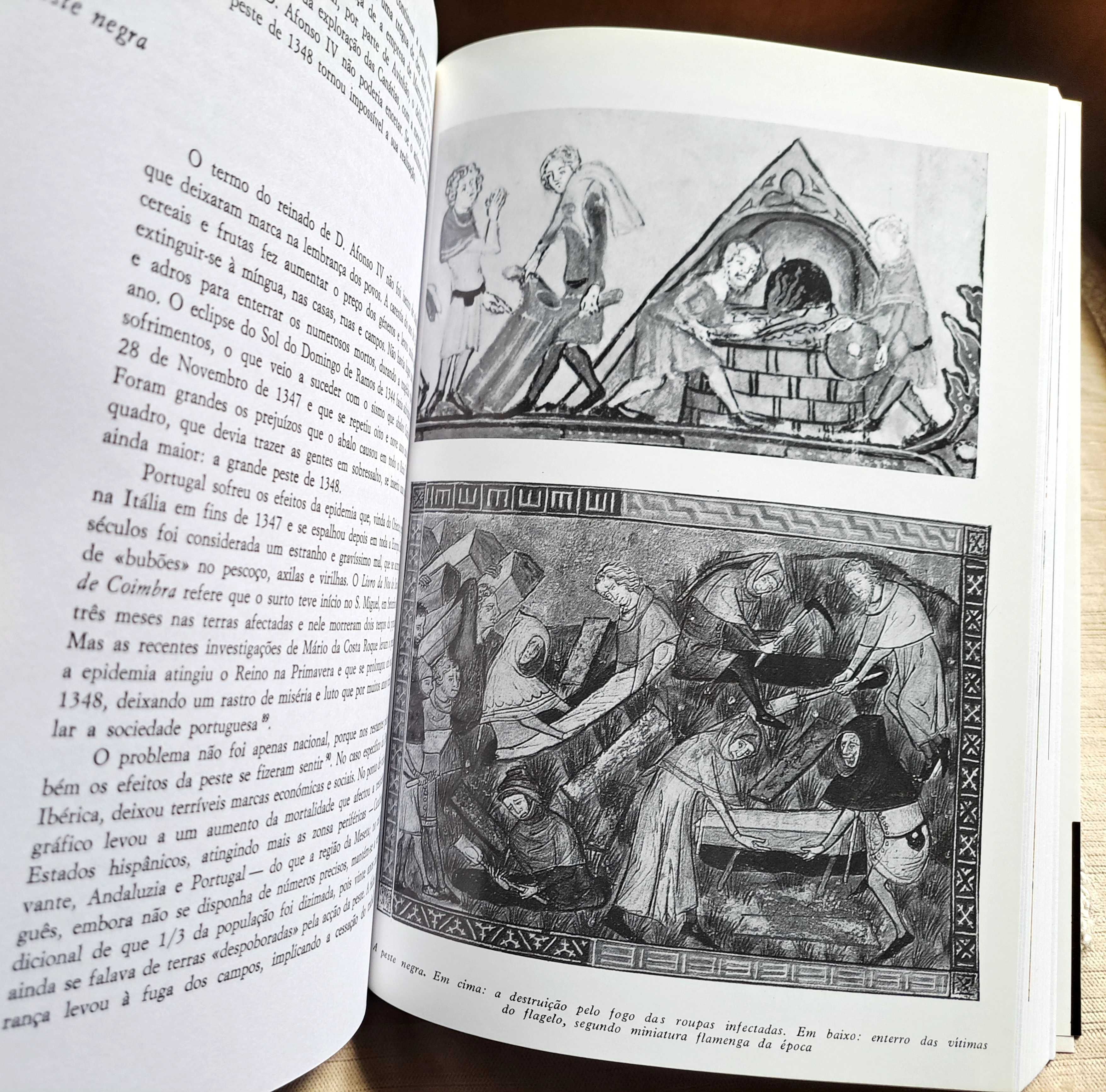 HISTÓRIA DE PORTUGAL de Veríssimo Serrão e pré-história de J.L.Cardoso