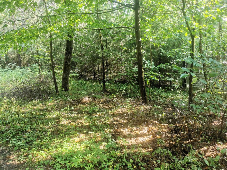 Działka nad zalewem sulejowskim