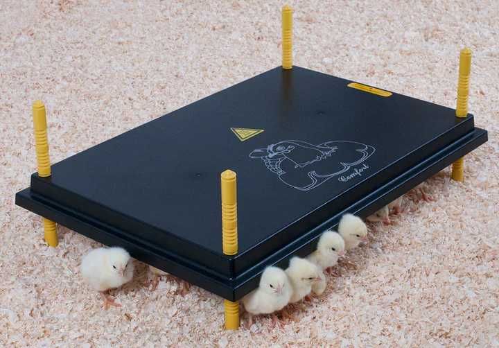 Płyta grzewcza Comfort kwoka dla piskląt 40x60cm