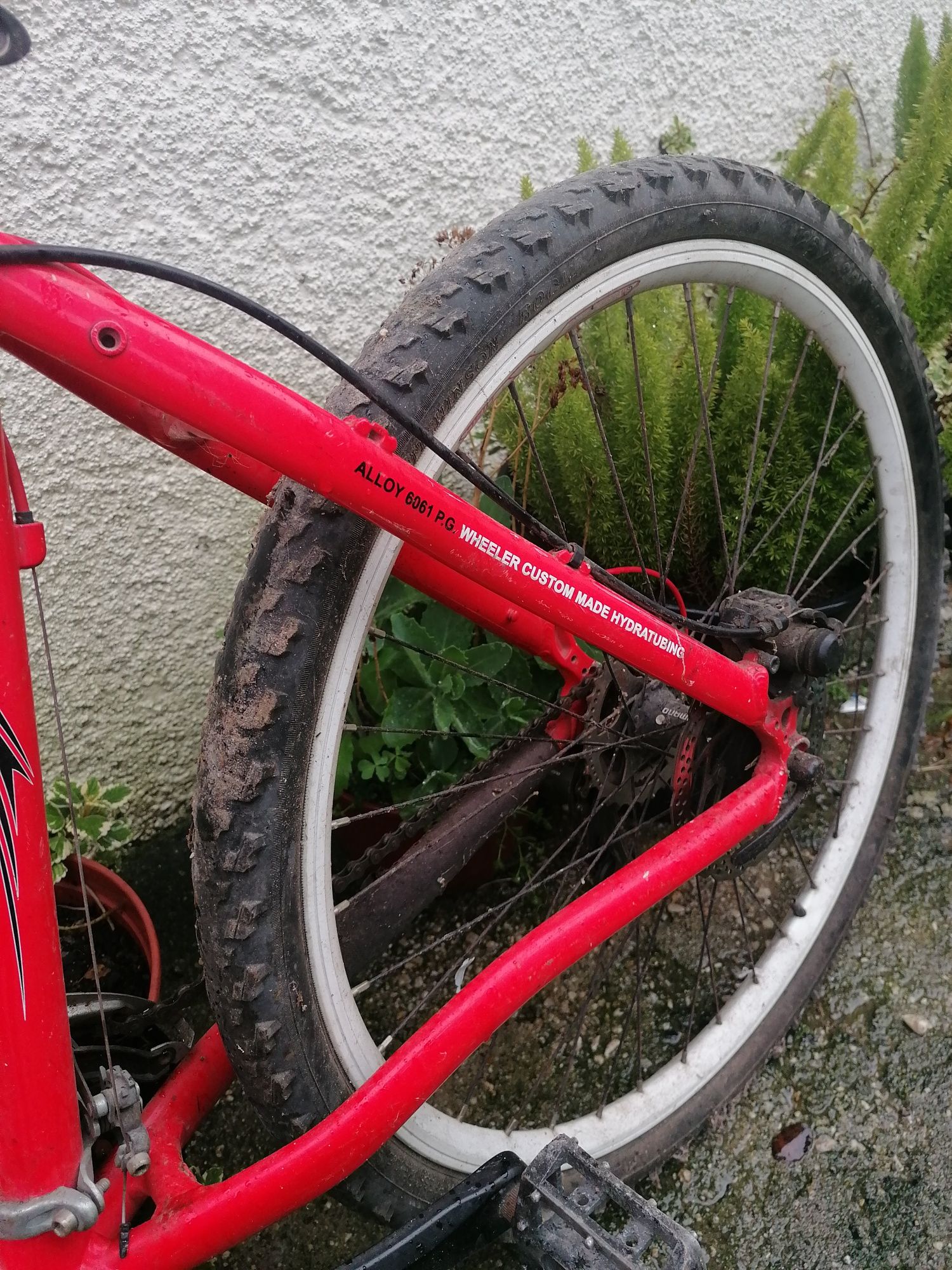 Bicicleta usada comum nova
