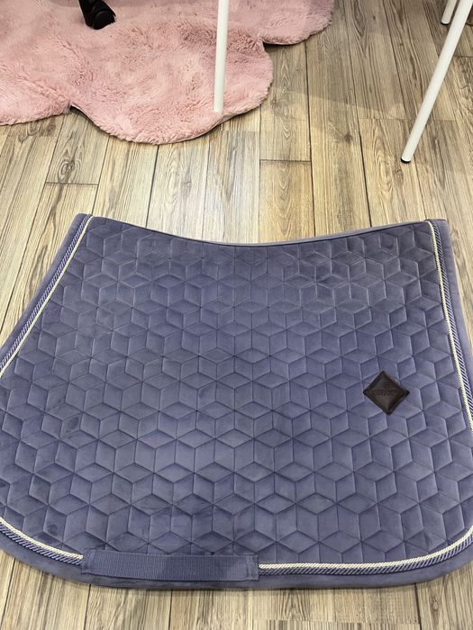 Czaprak kentucky full