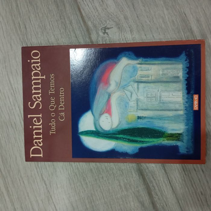 Livro " Tudo o que temos cá dentro" de Daniel Sampaio