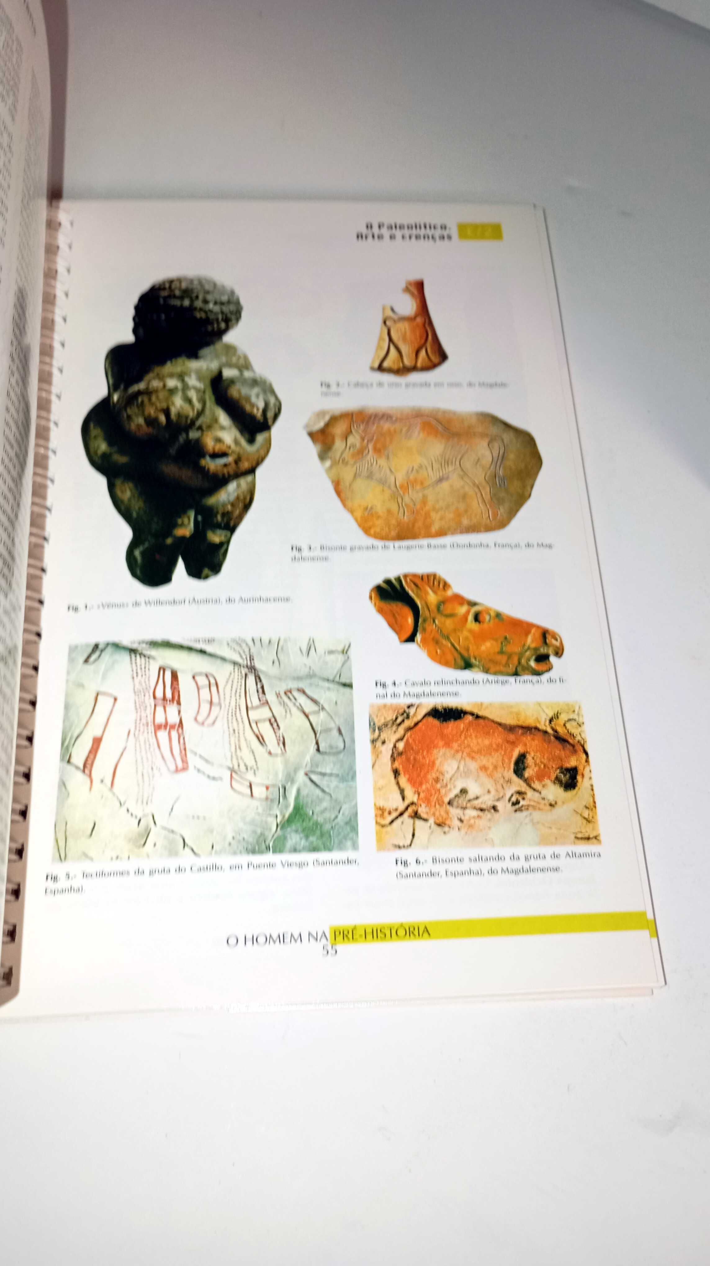 Atlas Temáticos - 5 livros