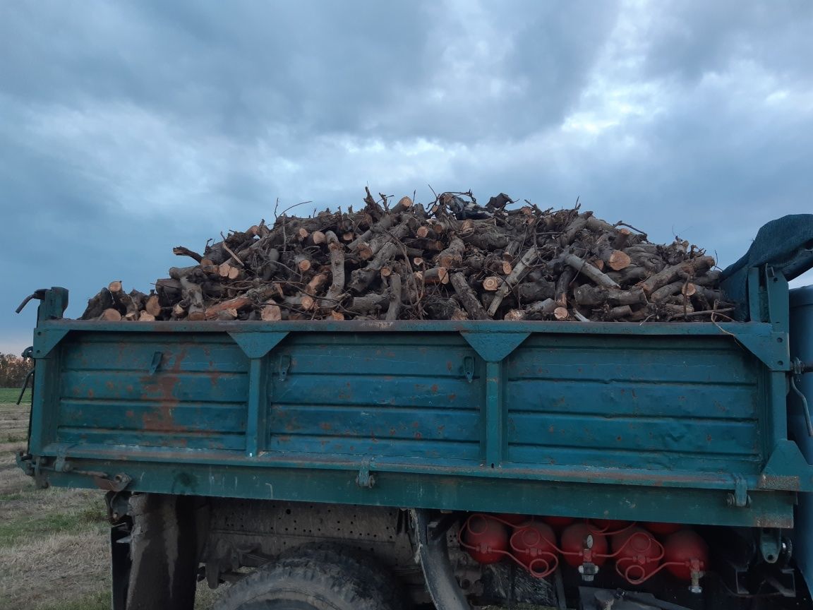 Продам дрова твердих порід,ясен ,граб,дуб. Атакож обрізки ясенові.