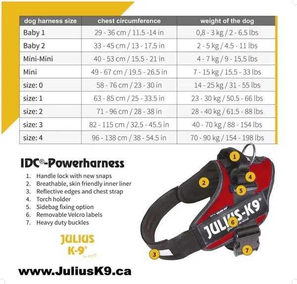 Шлейка для собак IDC® Powerharness от JULIUS-K9 и поводок Wainwright's