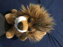 peluche LEÃO novo a estrear impecável