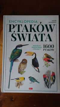 Encyklopedia ptaków