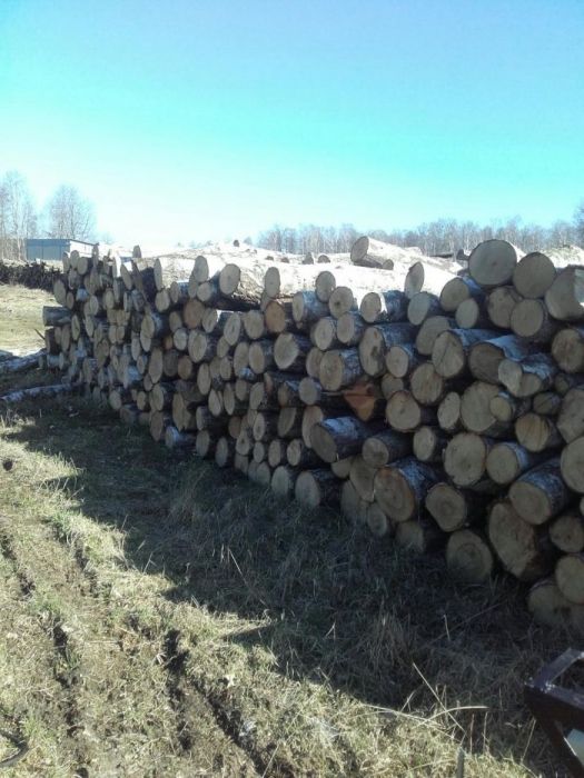 Drewno kominkowe opałowe Warszawa i okolice