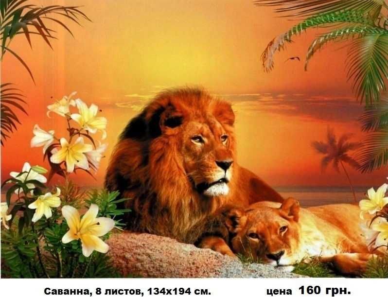 Глянцевые фотообои. Отличное качество! Цена за всю картину. Обои.
