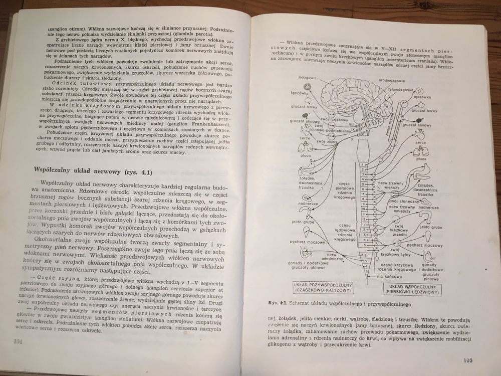 Zarys fizjologii zwierząt- Zygmunt Ewy, PWN 1977