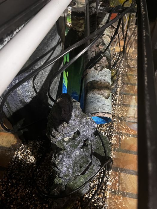 Aquário peixes com 80 cm