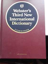 Websters third new international dictionary