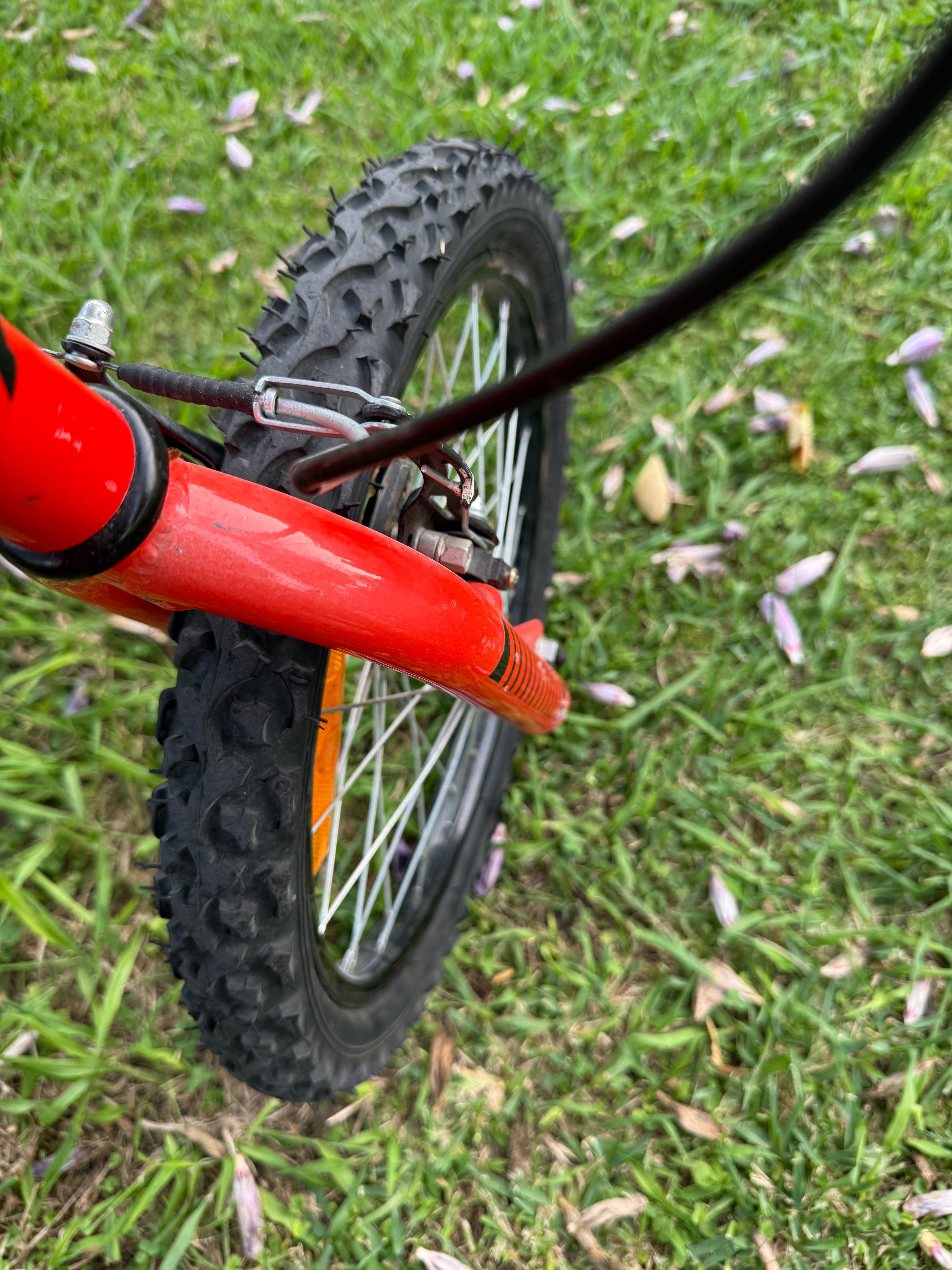 Bicicleta de criança