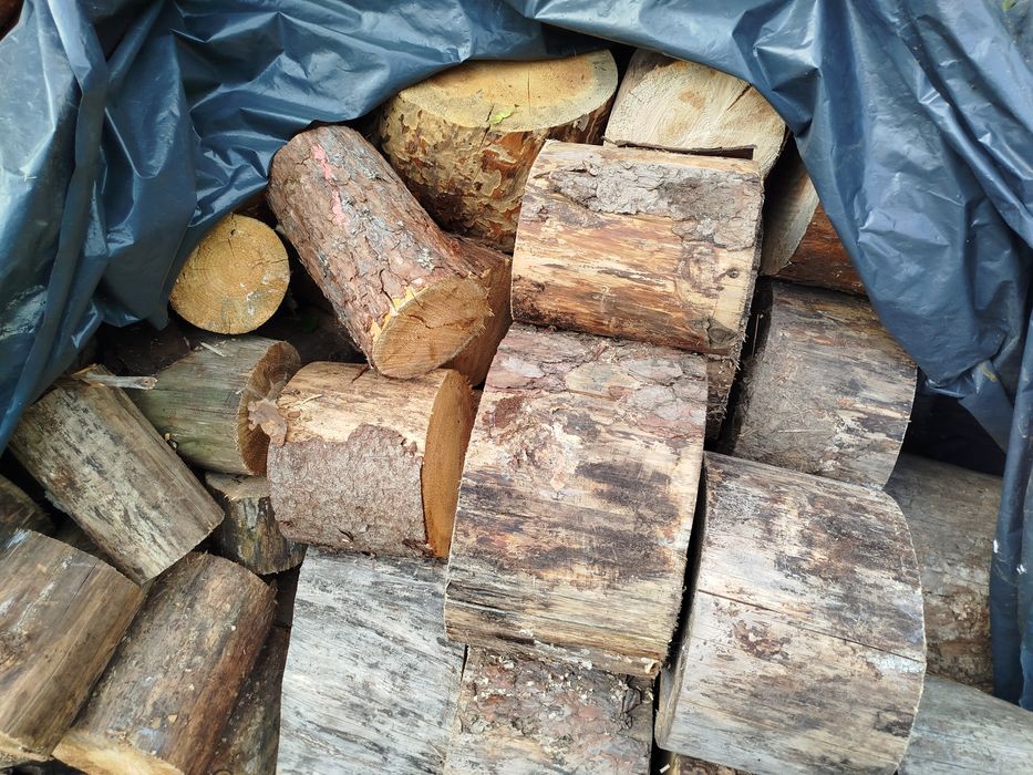 Drewno opałowe sosnowe