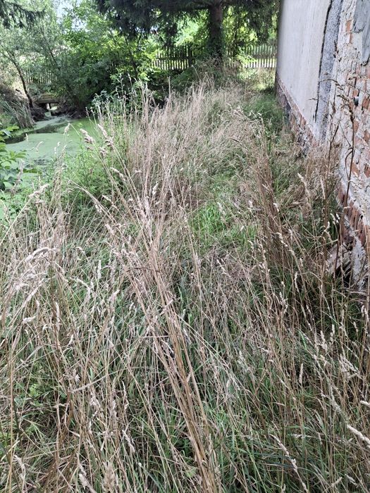 Koszenie traw, trawników, usługi glebogryzarką, wycinka drzew