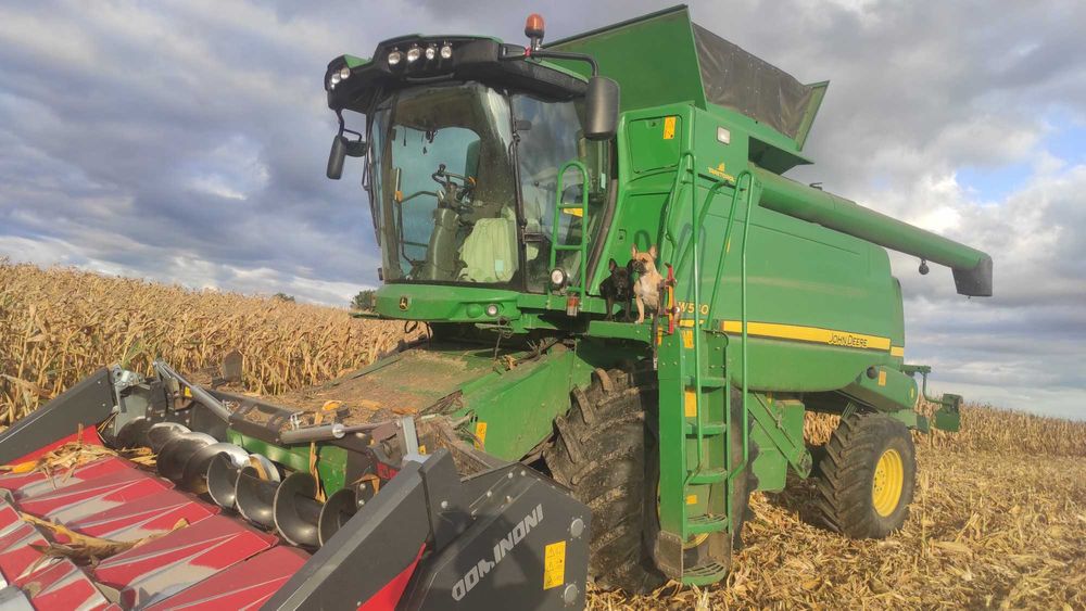 Przystawka do kukurydzy Dominoni do John Deere, Geringhoff oraz Olimac