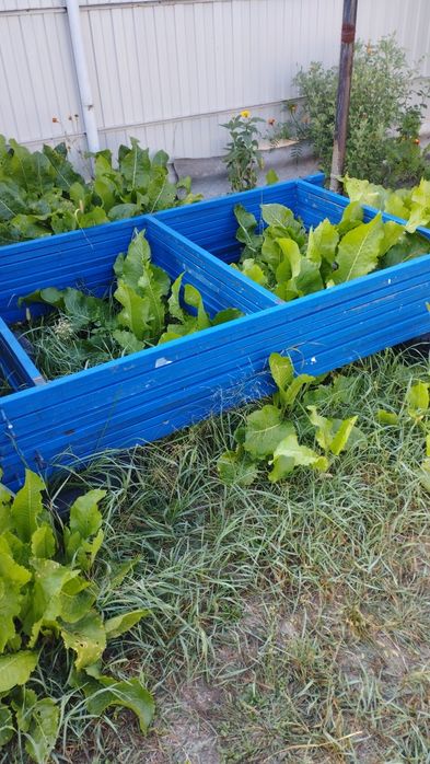 Будівельні ліса, продаж,оренда!!