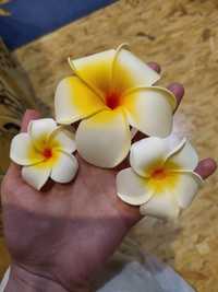 Ніжні гавайські квіти. Нежные Гавайские цветы
